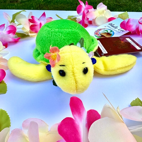 Adopt an Island Turtle - Aukai - Picture 4 of 4